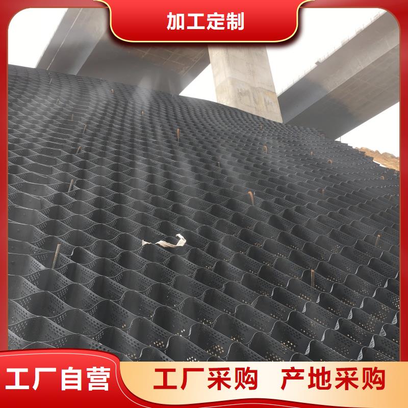 土工格室蜂巢約束系統(tǒng)豐富的行業(yè)經(jīng)驗