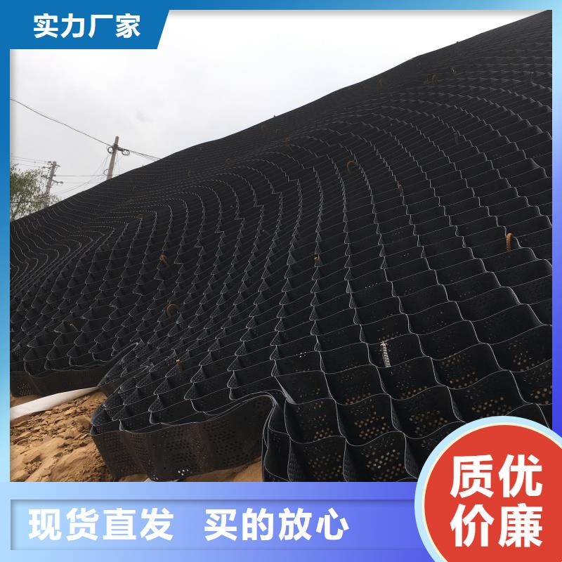 土工格室-蜂巢格室廠家為品質(zhì)而生產(chǎn)
