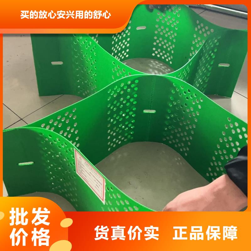 土工格室蜂巢約束系統(tǒng)價(jià)格優(yōu)質(zhì)原料