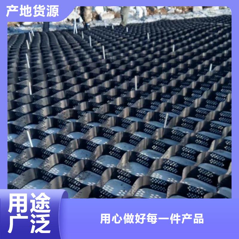 土工格室蜂巢格室價(jià)格注重細(xì)節(jié)