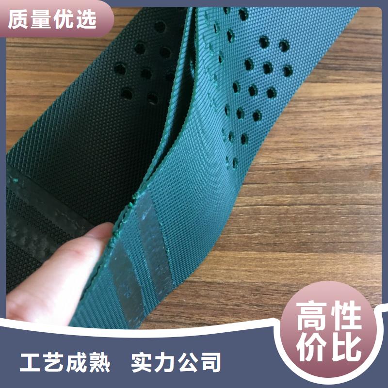 土工格室蜂巢約束系統(tǒng)源頭工廠(chǎng)量大優(yōu)惠