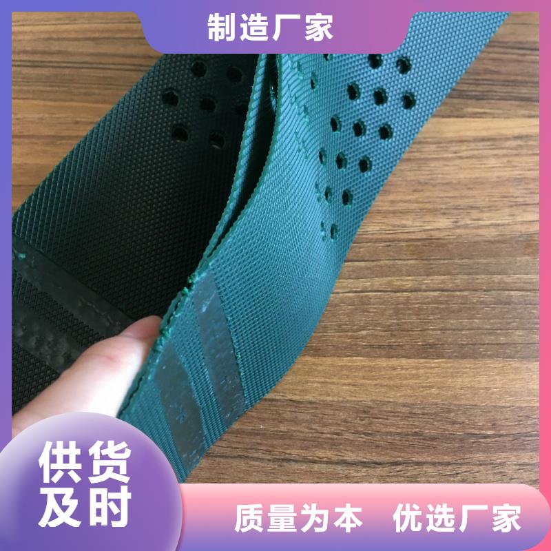 土工格室復(fù)合生態(tài)合金土工格室加工定制