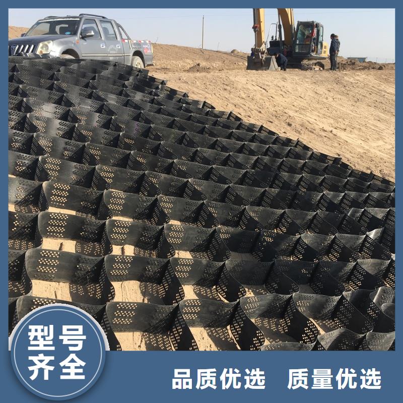 土工格室蜂巢格室巢室護(hù)坡行業(yè)優(yōu)選
