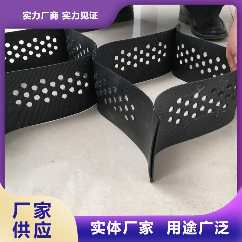 土工格室蜂巢格室價(jià)格注重細(xì)節(jié)