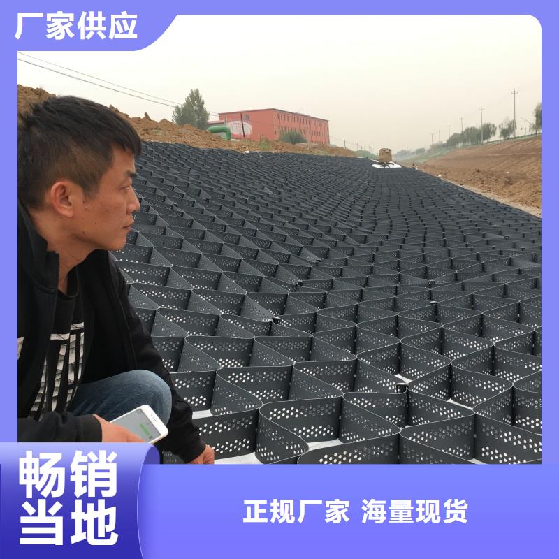 土工格室_蜂巢格室六邊形護(hù)坡質(zhì)保一年