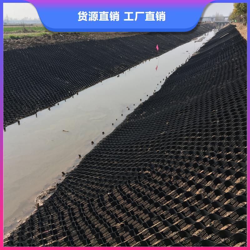 土工格室蜂巢約束系統(tǒng)價(jià)格優(yōu)質(zhì)原料