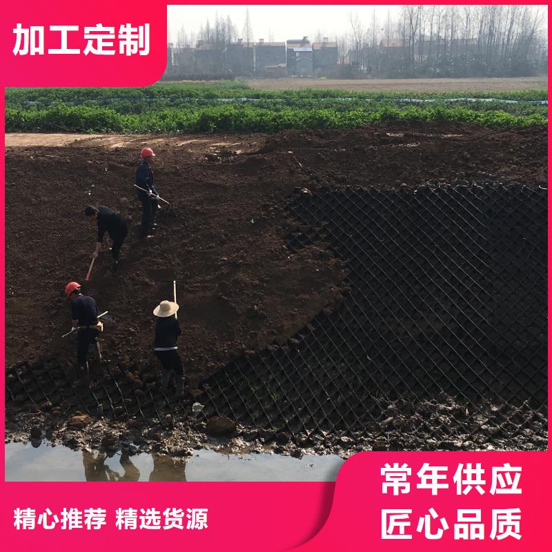 土工格室_六邊形蜂巢格室安心購