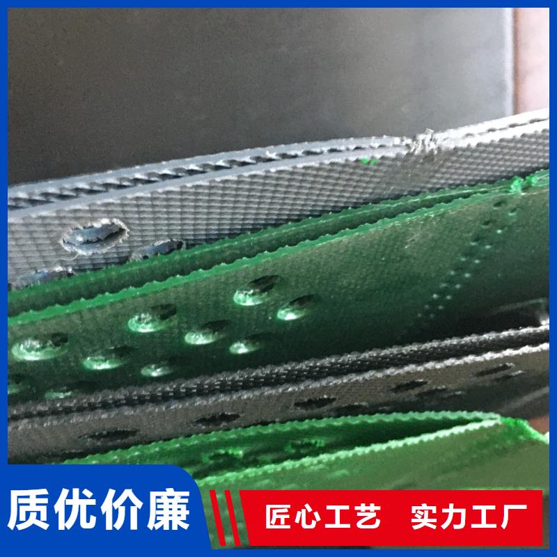 土工格室_PCA蜂巢格室品質(zhì)信得過