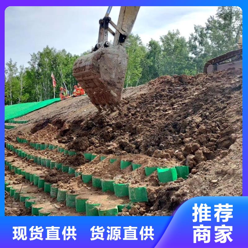 土工格室HCW蜂巢格室精品優(yōu)選