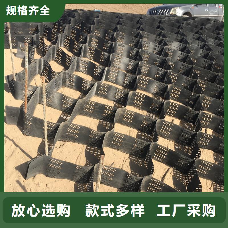 土工格室_PCA蜂巢格室廠家定制