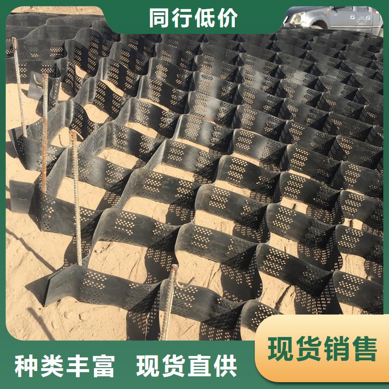 土工格室六邊形蜂巢土工格室優(yōu)選廠商