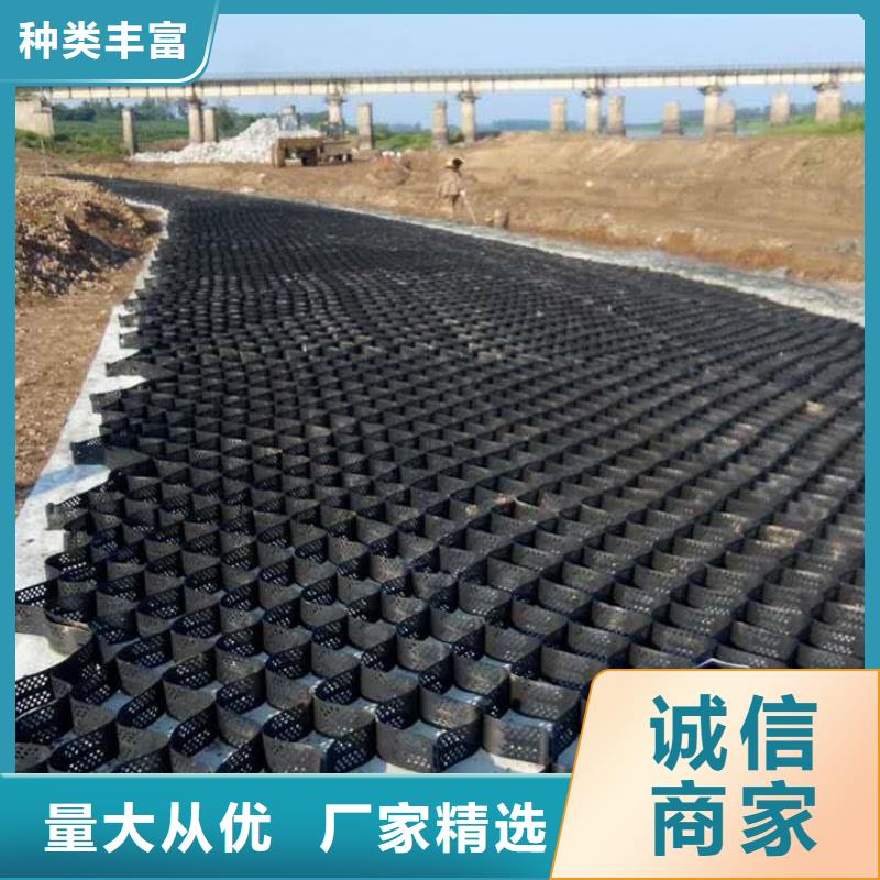 土工格室_PCA蜂巢格室廠家定制