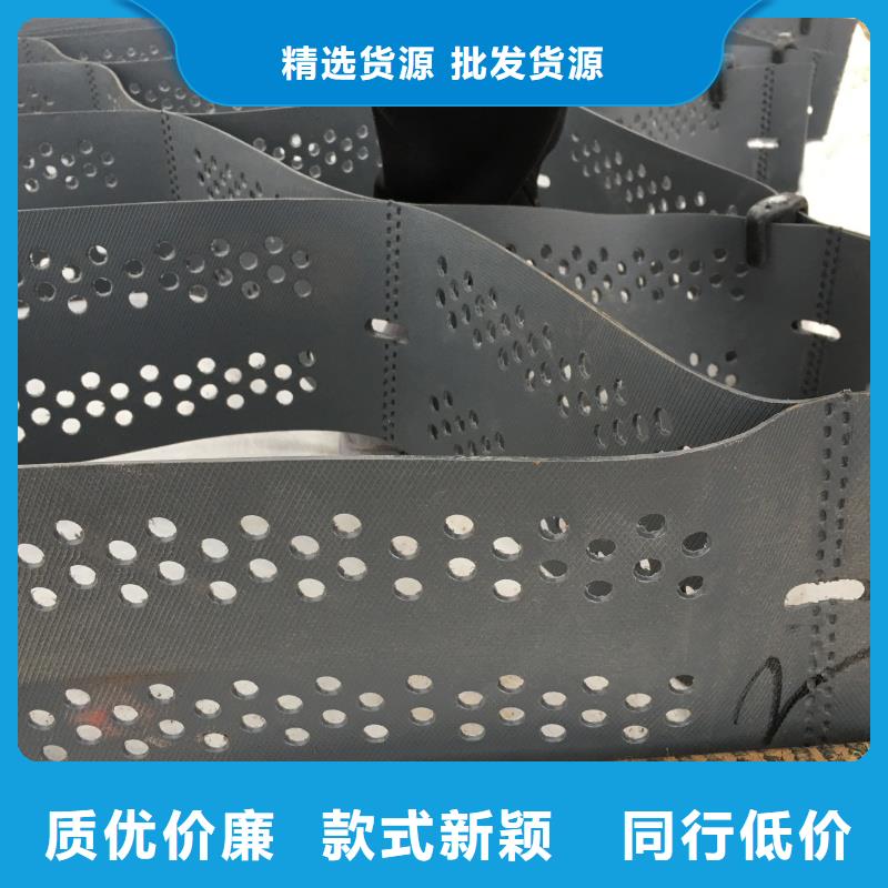 土工格室六邊形蜂巢格室廠家直銷貨源充足