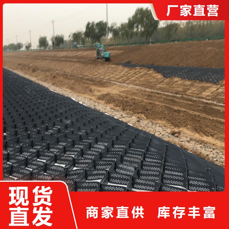 土工格室蜂巢格室價格貼心服務(wù)