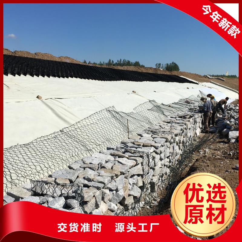 土工格室蜂巢約束系統(tǒng)一站式采購商