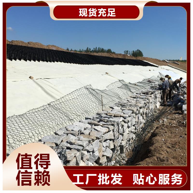 土工格室蜂巢格室巢室護(hù)坡品質(zhì)之選