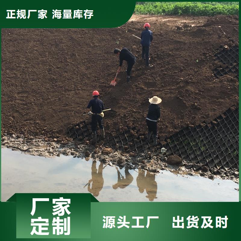 土工格室,蜂巢格室支持拿樣