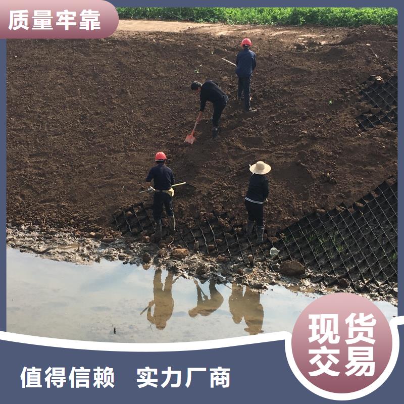 土工格室-PCA蜂巢格室快速報(bào)價(jià)