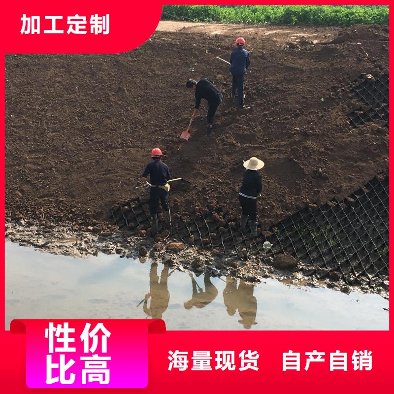 土工格室納米合金蜂巢格室實力廠家直銷