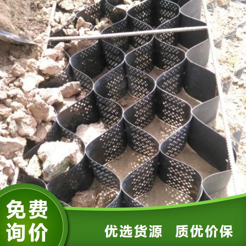土工格室蜂巢約束系統(tǒng)多年實(shí)力廠家