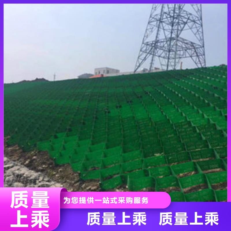 土工格室蜂巢約束系統(tǒng)廠家來圖定制量大從優(yōu)