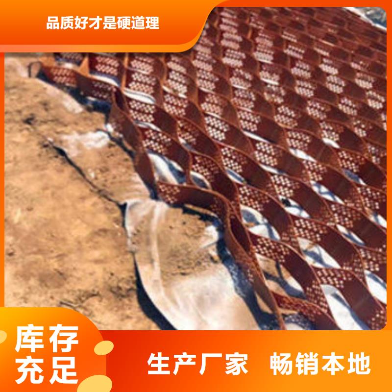 土工格室蜂巢格室真正的源頭廠家
