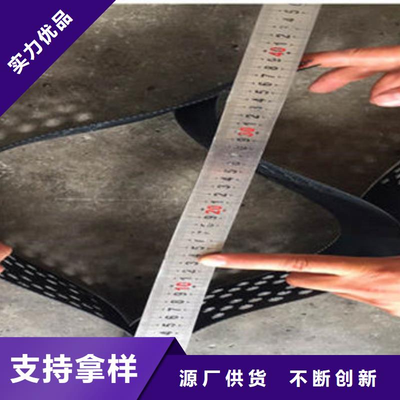 土工格室蜂巢約束系統(tǒng)廠家來圖定制量大從優(yōu)