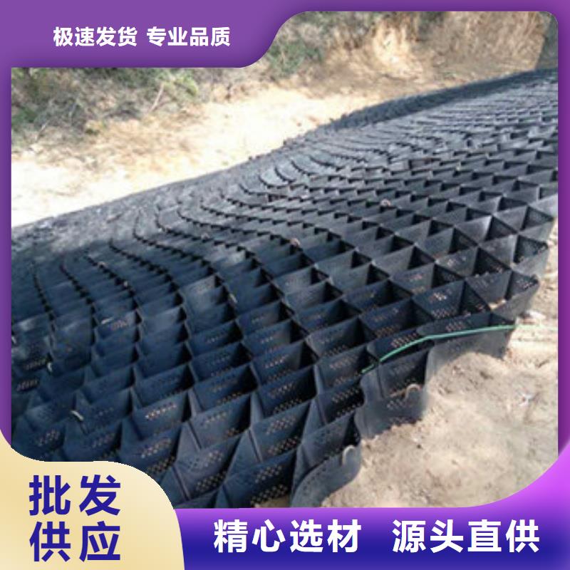 土工格室蜂巢約束系統(tǒng)廠家品質(zhì)保證