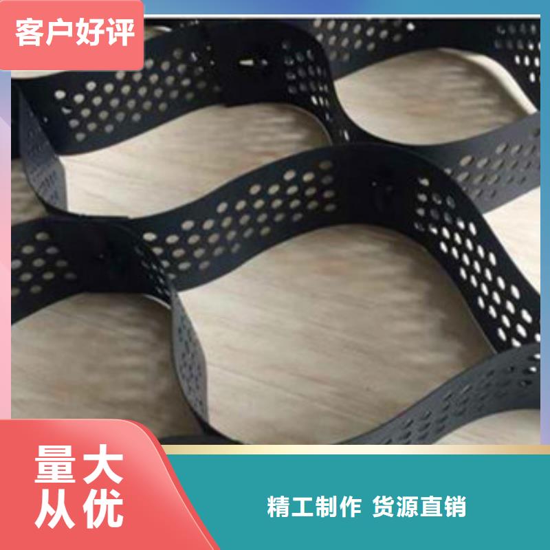 土工格室蜂巢約束系統(tǒng)廠家今年新款