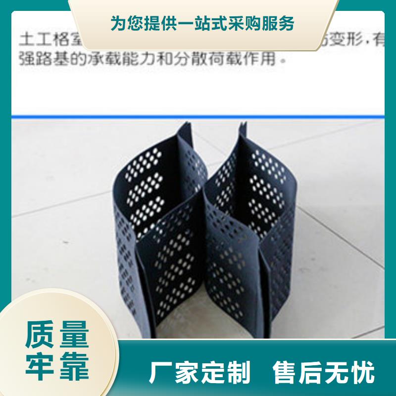 土工格室復(fù)合生態(tài)合金土工格室加工定制