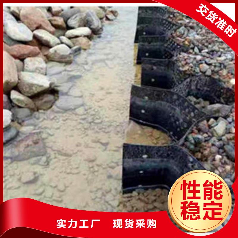 土工格室蜂巢約束系統(tǒng)廠家品質(zhì)保證