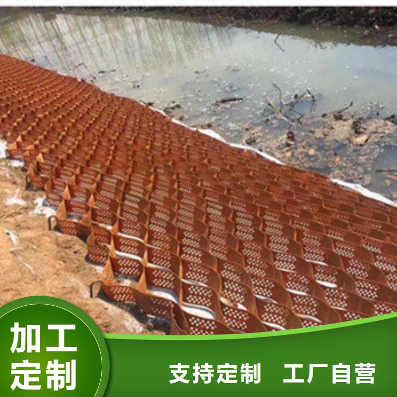 土工格室蜂巢約束系統(tǒng)廠家今年新款