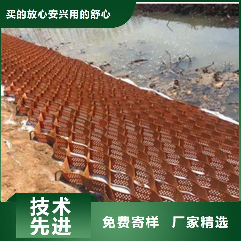 土工格室蜂巢約束系統(tǒng)價(jià)格優(yōu)質(zhì)原料