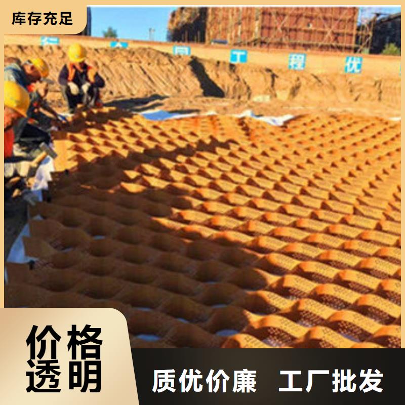 土工格室蜂巢格室哪有賣快速物流發(fā)貨