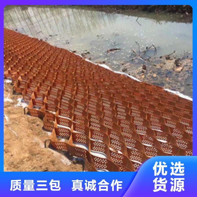 土工格室蜂巢約束系統(tǒng)多年實(shí)力廠家