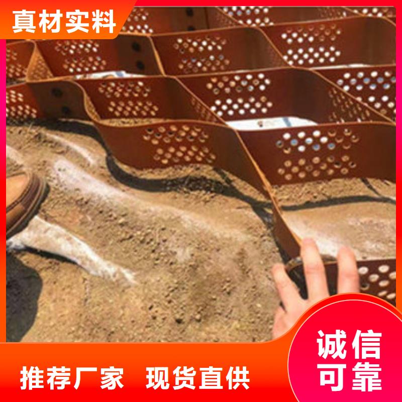 土工格室蜂巢約束系統(tǒng)廠家品質(zhì)保證