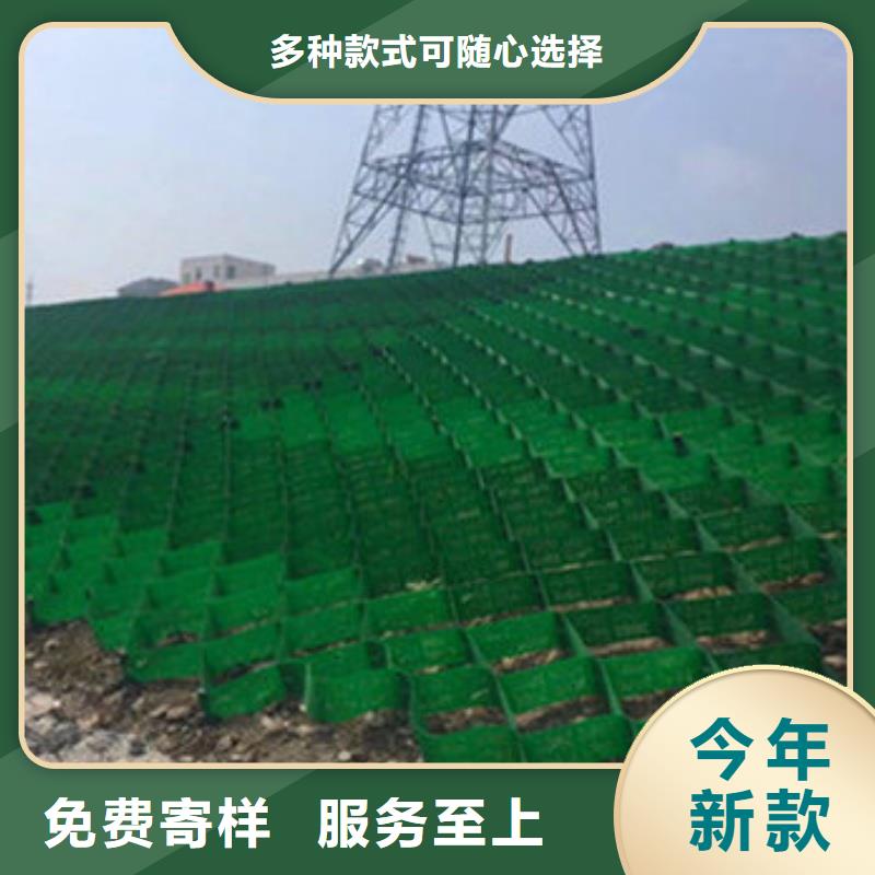 土工格室蜂巢格室價格貼心服務(wù)