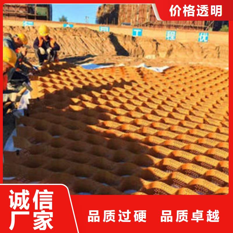 土工格室綠化用蜂巢土工格室客戶信賴的廠家
