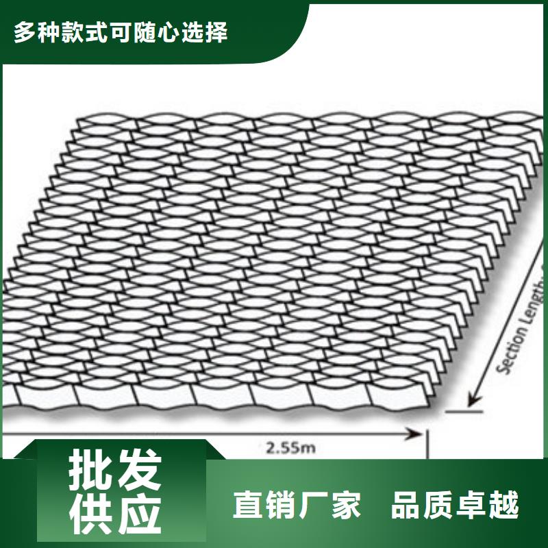 土工格室_PCA蜂巢格室廠家定制