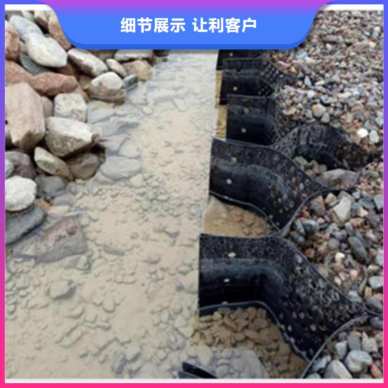 土工格室HCW蜂巢格室精品優(yōu)選