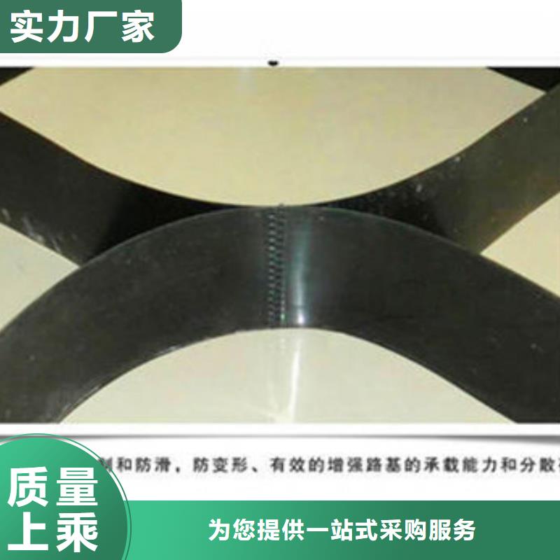 土工格室蜂巢約束系統(tǒng)廠家今年新款