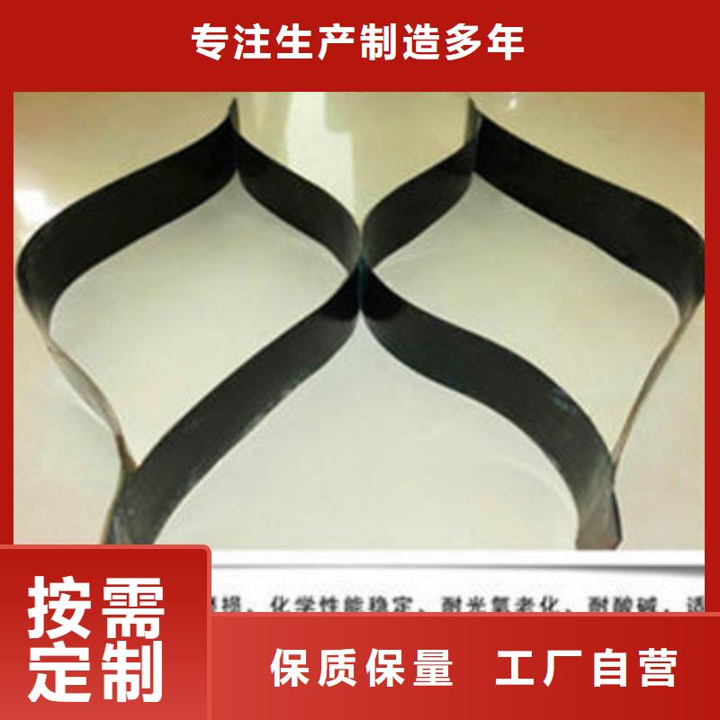 土工格室蜂巢格室真正的源頭廠家