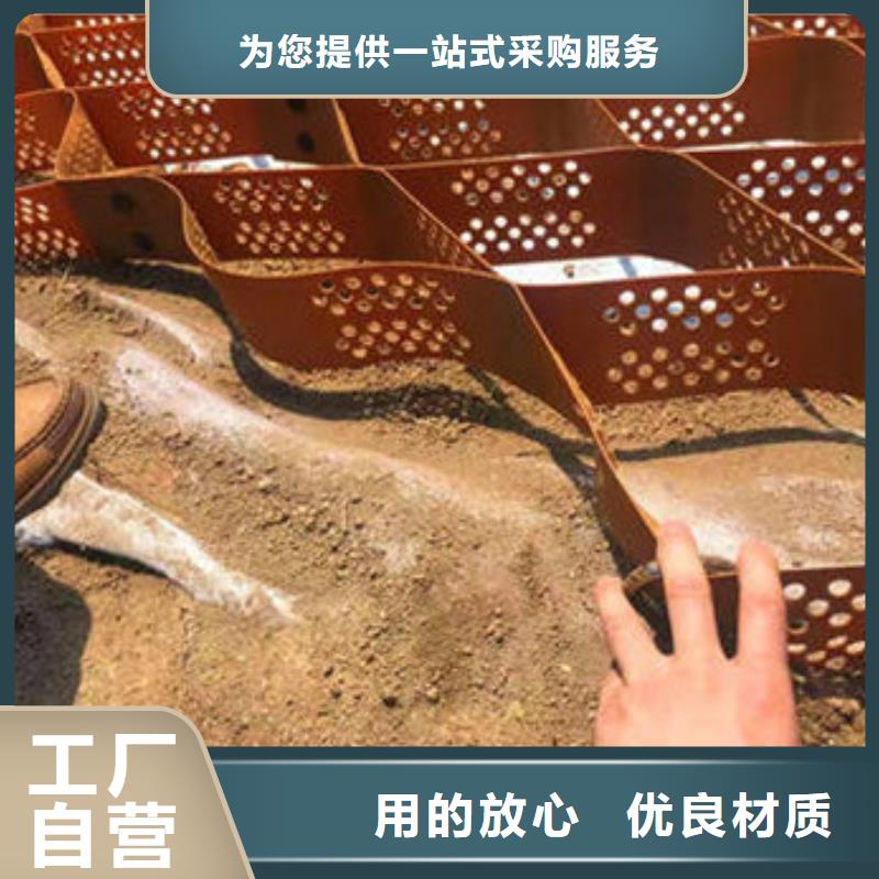 蜂巢格室_土工格室廠家精心