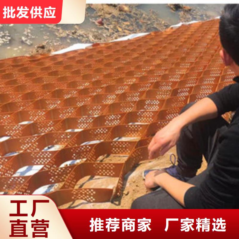 蜂巢格室NCP蜂巢格室讓利客戶