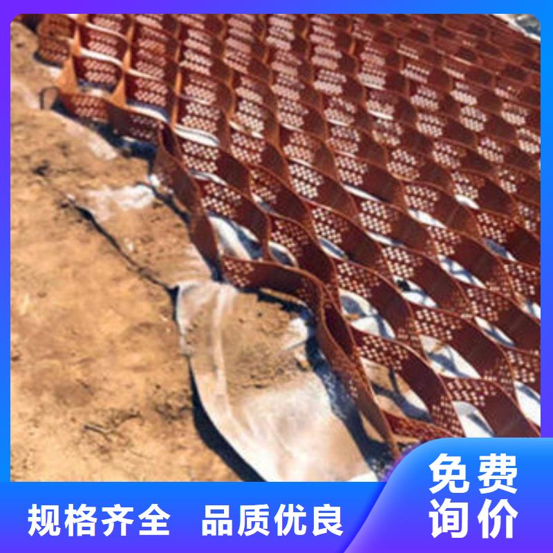 蜂巢格室_山東蜂巢格室生產(chǎn)廠家廠家實(shí)力雄厚