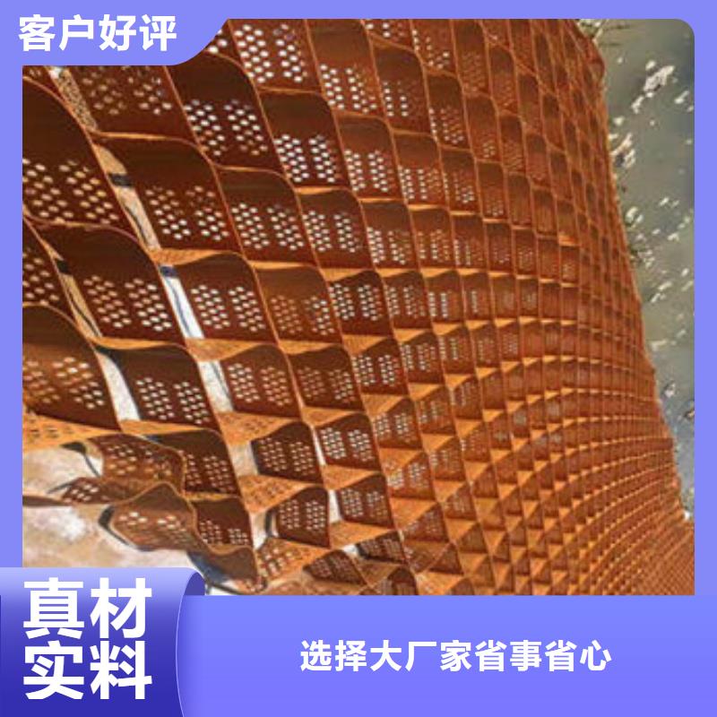 蜂巢格室_土工格室廠家精心