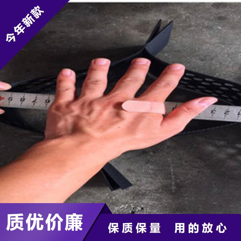 蜂巢格室土工格室 追求品質(zhì)