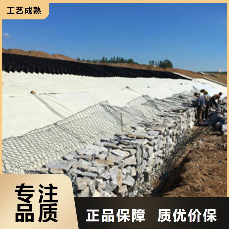 蜂巢格室-六邊形蜂巢土工格室自主研發(fā)