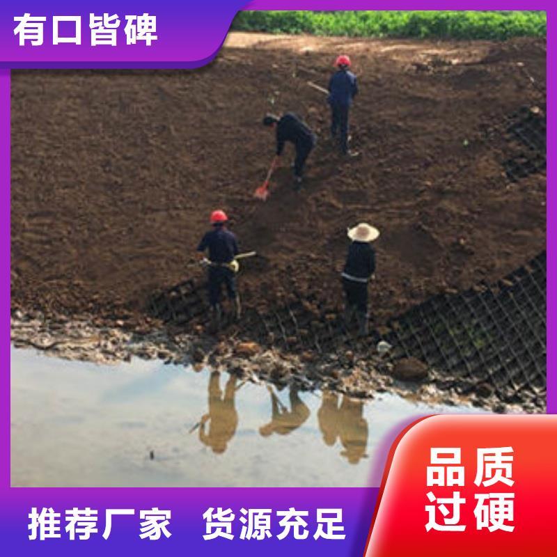 蜂巢格室塑料排水板支持拿樣