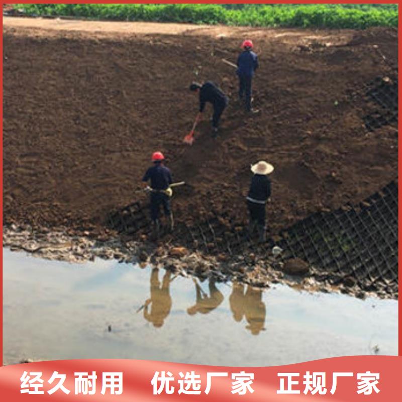 蜂巢格室蜂巢約束系統(tǒng)價格敢與同行比質量